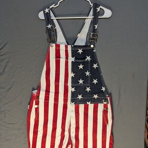 Chubbies Patriotic Graphic Shorts